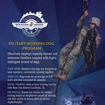 Marine Corps Working Dog Program