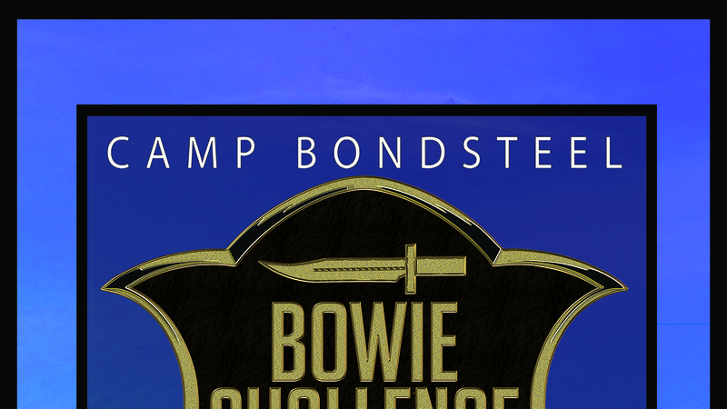 Bowie Challenge Info Poster