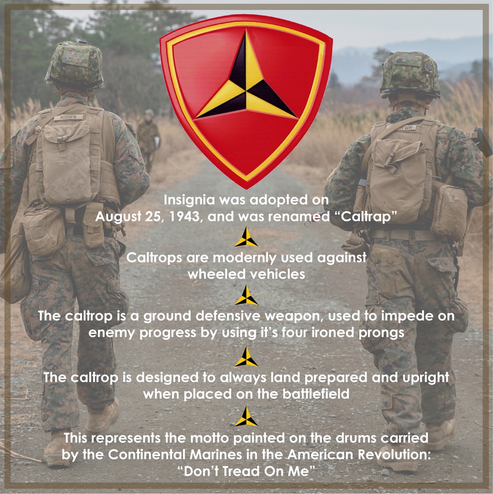 3d Marine Division Anniversary
