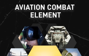 The Aviation Combat Element