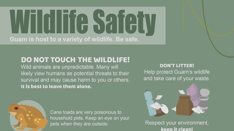 Guam wildlife safety