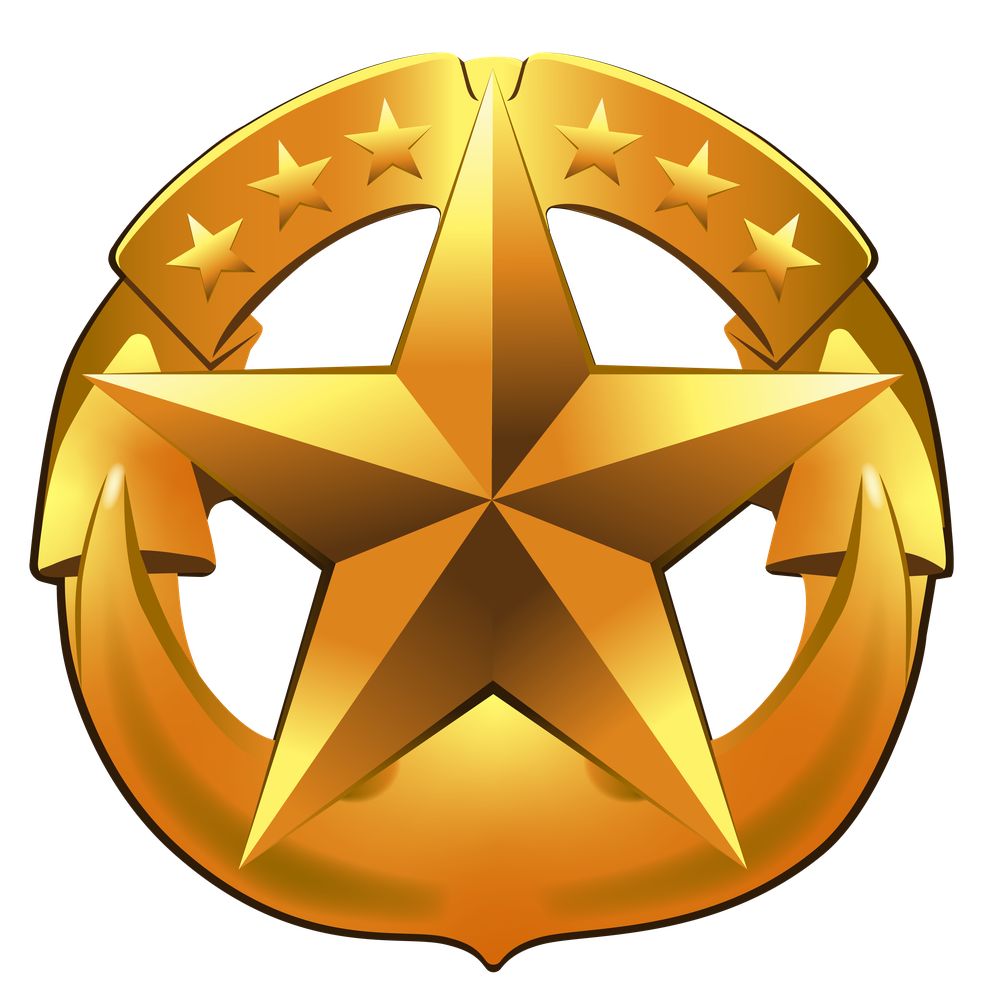 DVIDS - News - Command at Sea Insignia