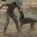 Aggression Training