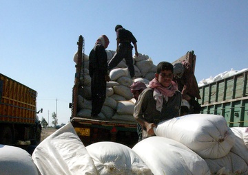 Cavalry to the Rescue:  Seed Delivery