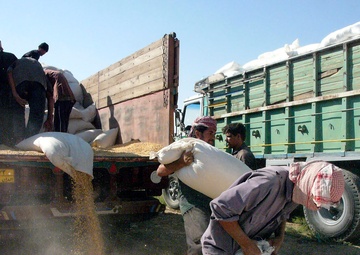 Cavalry to the Rescue:  Seed Delivery