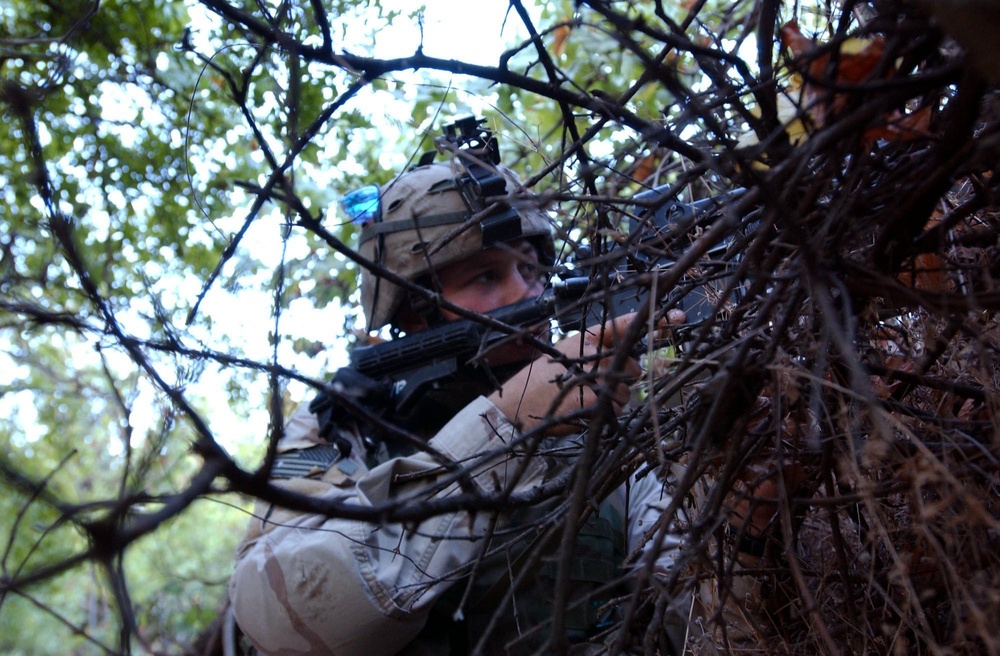 Stryker Soldiers search for weapons, terrorists