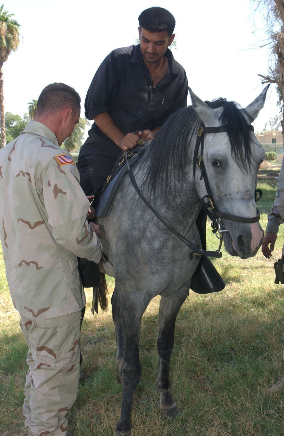 Troopers Instruct Iraqi Horse Handlers
