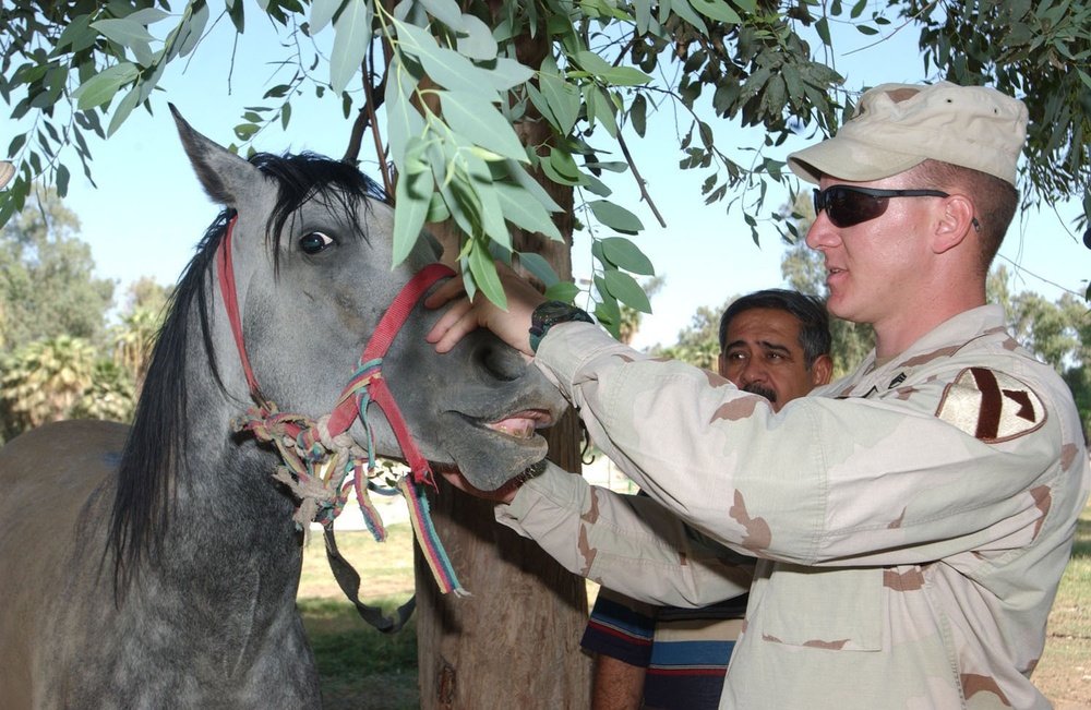Troopers Instruct Iraqi Horse Handlers