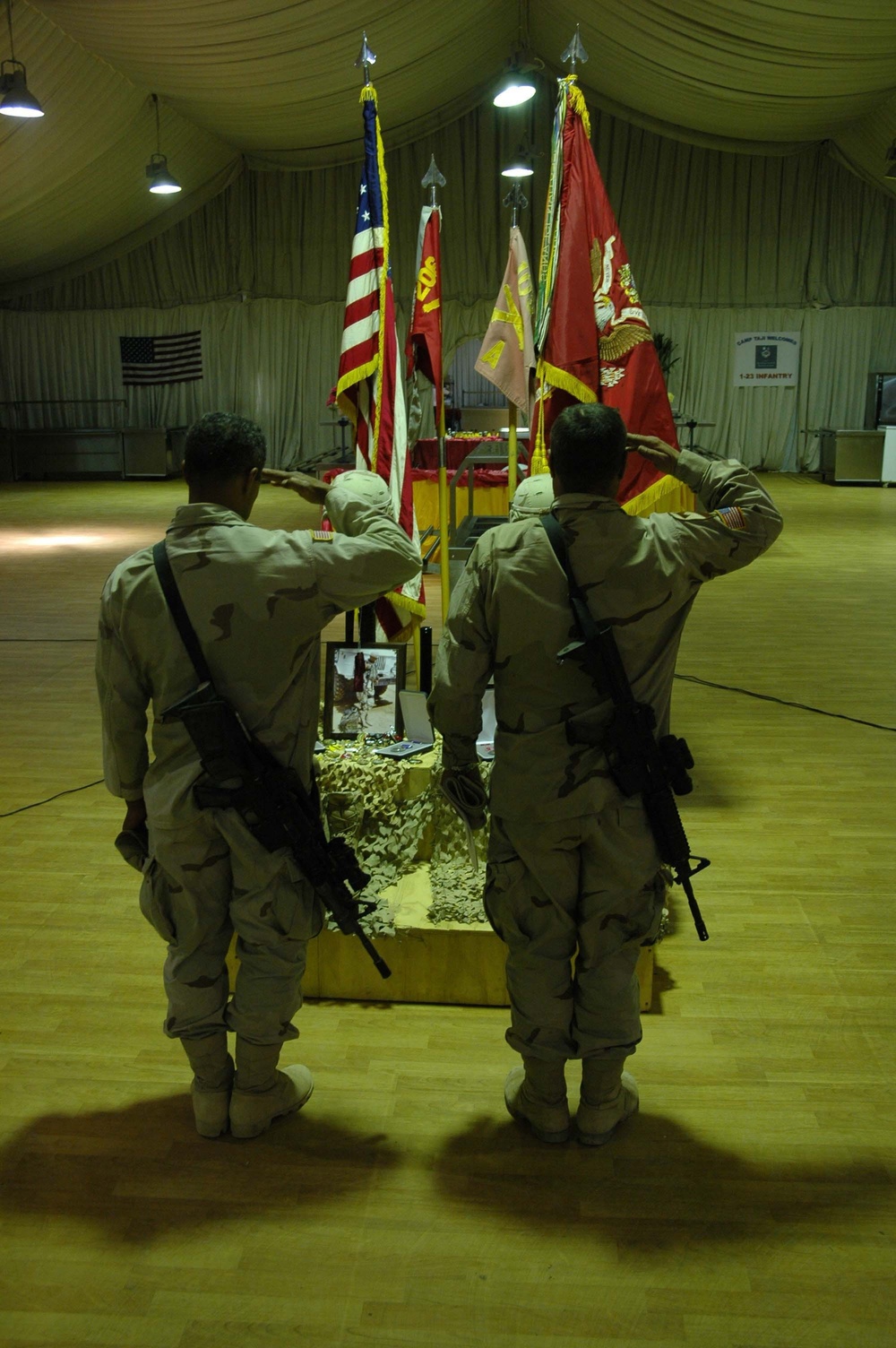 Two Soldiers salute from rear