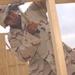 Sgt. Slick constructs the walls of a new structure