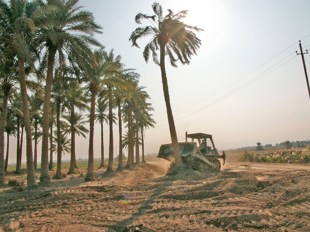 An engineer knocks down one of four palm trees