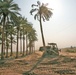 An engineer knocks down one of four palm trees