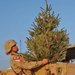Sgt. Maj. Della St. Louis takes her real Christmas tree on a tou
