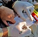 Medics Assess the Wounded Prior to Evacuation