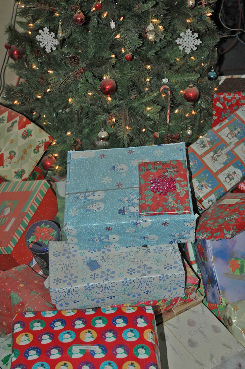 Over 80 Christmas presents were placed under the Christmas tree
