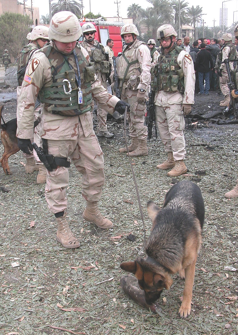 Working dog (Kim) sniff a 155-millimeter artillery