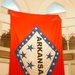 The Arkansas flag hangs brightly one of Husseins palaces