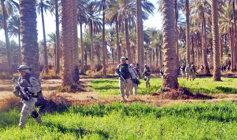 Soldiers march through palm groves