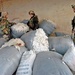Soldiers search through bags of sheep fur