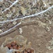 A pile of hand grenades found by the scout platoon