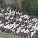 Protesters parade in Downtown Baghdad