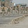 Soldiers begin the (620th CSB Walk for the Cure), cancer walk