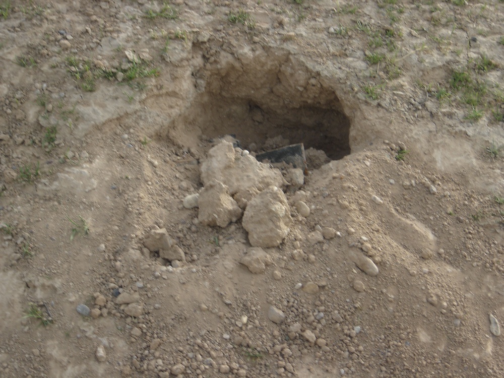 This snapshot of what looked like a (badger hole)