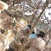MEDCAP MISSION