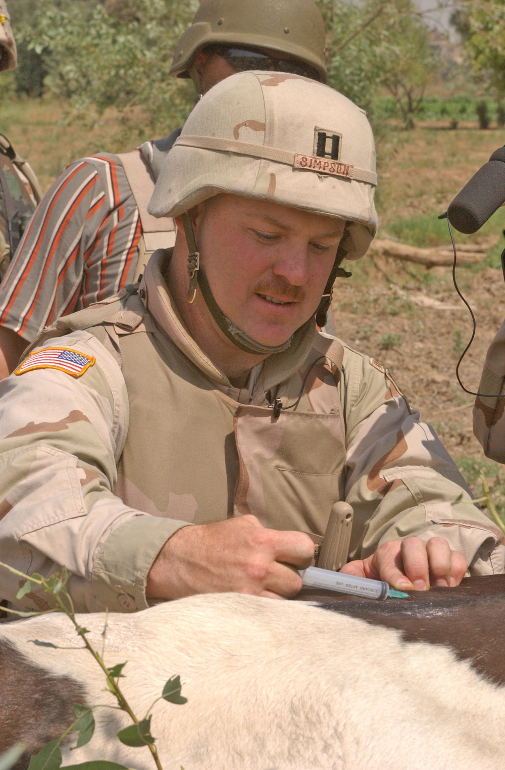 Capt. Michael Simpson injects evanomic into a cow