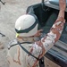 Iraqi Army searches a car during a cordon and search