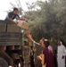 An Iraqi teenage boy tosses a case of cookies