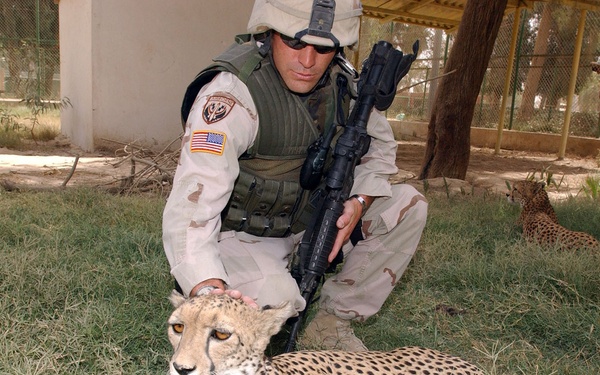 Cpl. Keith Strong pets a cheetah at the Baghdad Zoo