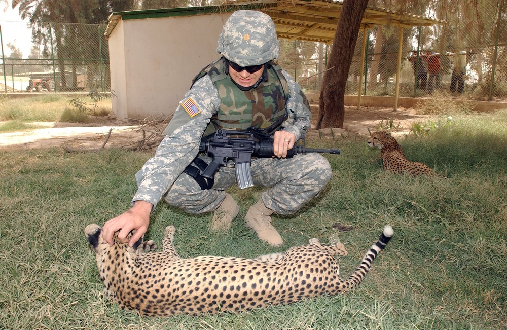 Maj. Bowman pets a cheetah at the Baghdad Zoo