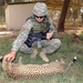 Maj. Bowman pets a cheetah at the Baghdad Zoo