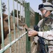 Maj. Robert Scott feed a camel at the Baghdad Zoo