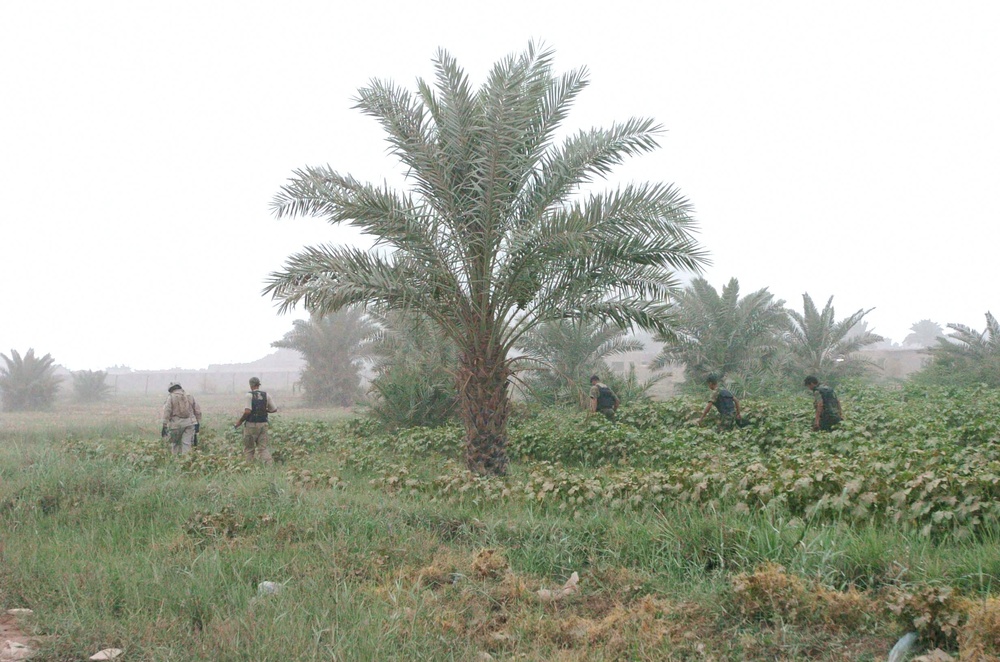 Soldiers search a field in Zafarania