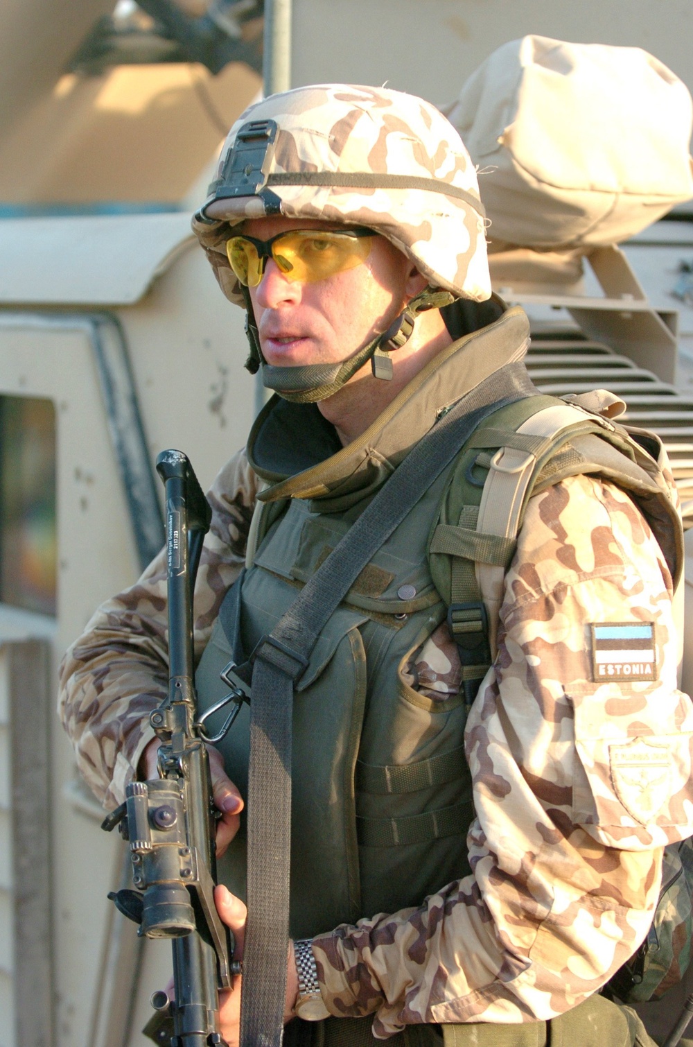 Estonian Soldier 2