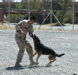 Britt detains suspect