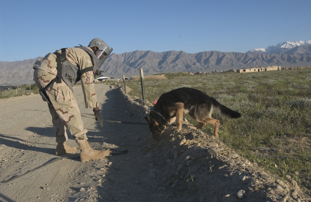 Spc. Russell Whitfield and Ronny