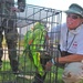 Diane Whetsel of Texas Equusearch