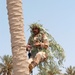 Iraqi Army Soldier climbs a tree to take a sniper position
