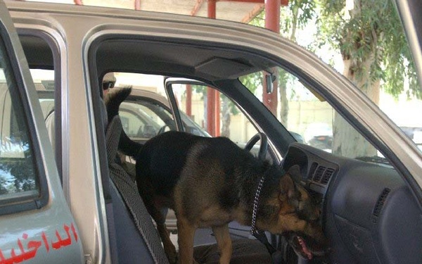 A Dog Handler and his dog