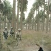 Soldiers search a field in Zafarania