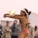 Sand, laughs fly in Kuwait
