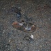 Iraqi, U.S. forces secure car bomb site