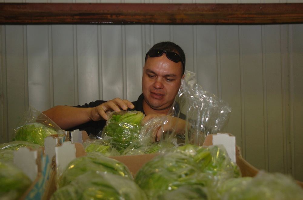 Sgt. 1st Class David Villa Inspects a Bad Patch of Lettuce