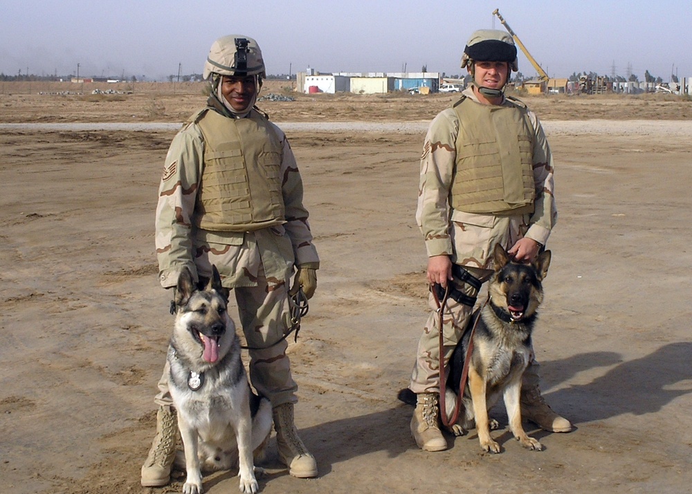 Dog Days in Iraq