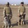 Dog Days in Iraq