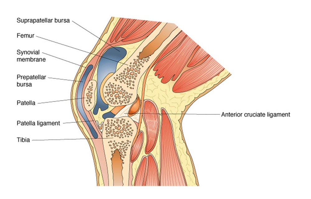 Knee pain