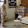 Staff Sgt. Archie Searches for Munitions or Explosives
